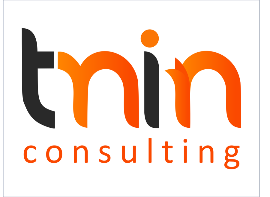 TMIN Consulting logo redesign